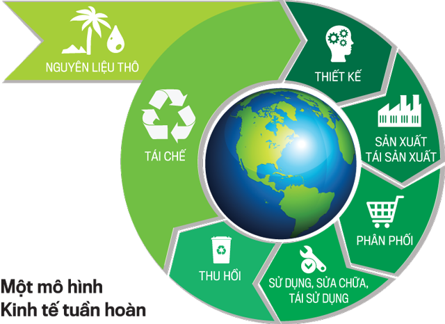 kinh tế tuần hoàn