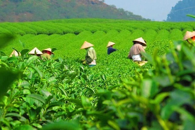 che-viet-17530864537611623402173
