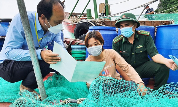 minh hoa 1133