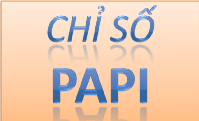 PAPI1