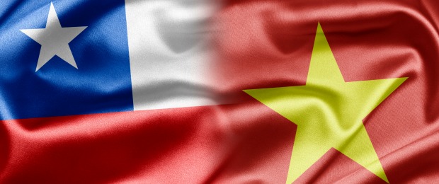 VNChileflag