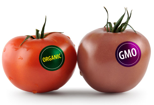 GMO 2