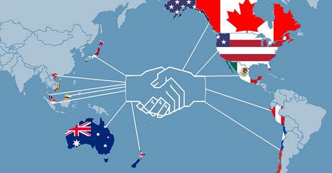 TPP4
