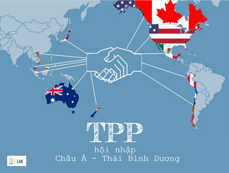 TPP 24.11