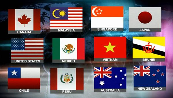 TPP 6
