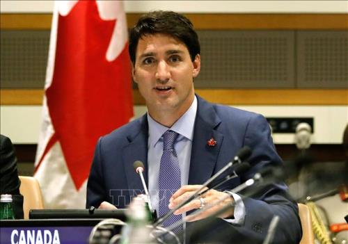 canadathutuong2311