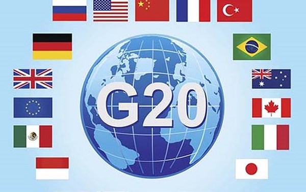 g20 mcok