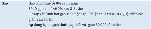 lotrinhgao