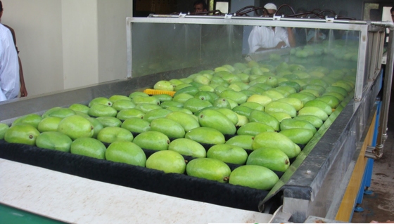 xoaivietnam