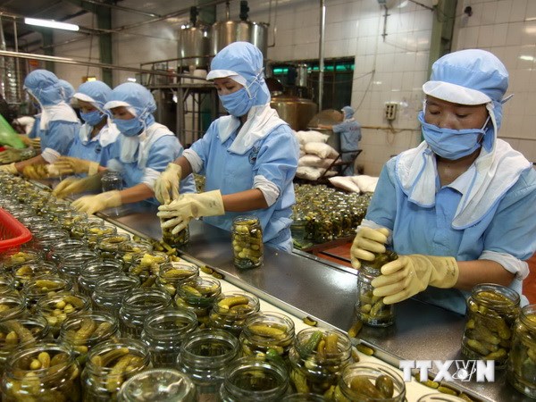 XK TT Bắc Âu