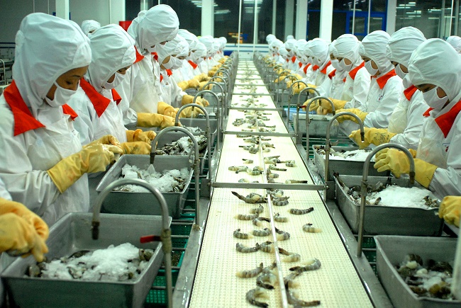 XK thủy sản 4