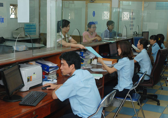 hải quan 5