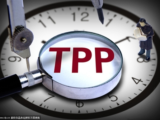 tpp 8