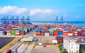 8 binh 08.01.2025