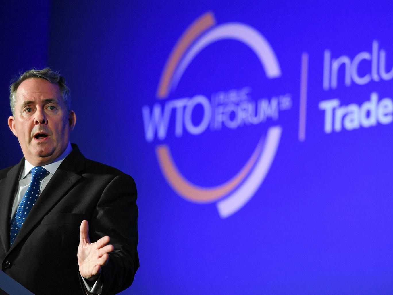 liam fox wto