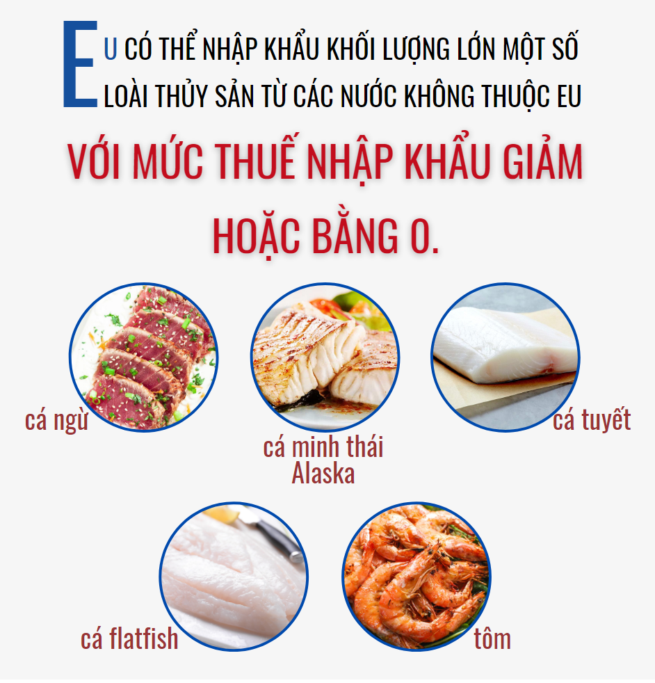 thue eu thuy san 16045563827891333007214