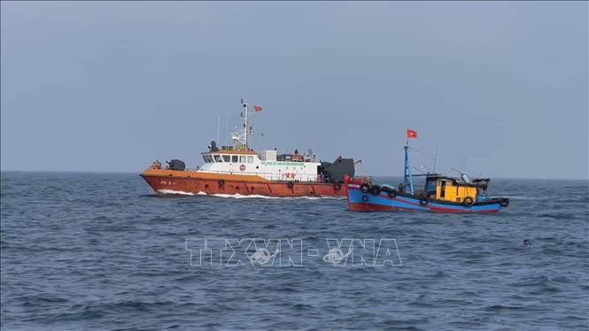 the vang iuu 2462024
