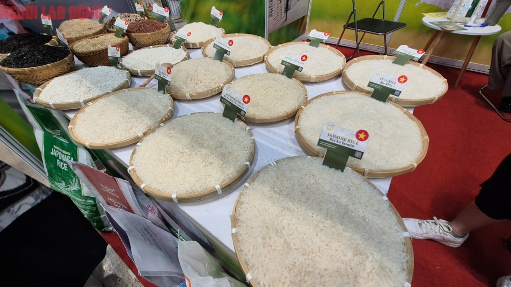 anh 120251027164324