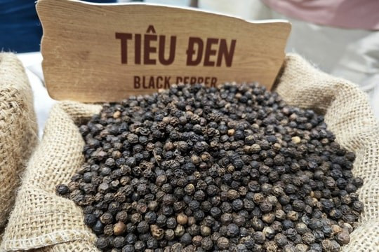 xk tieu 1763291421574 1763291422205894451746