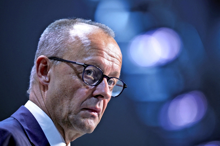 2 12friedrich merztto 1764691210526240077244