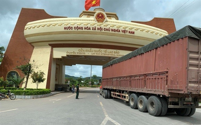 viet lao 1736429419868586198732 0 0 456 730 crop 173642947239811498140520251202215334