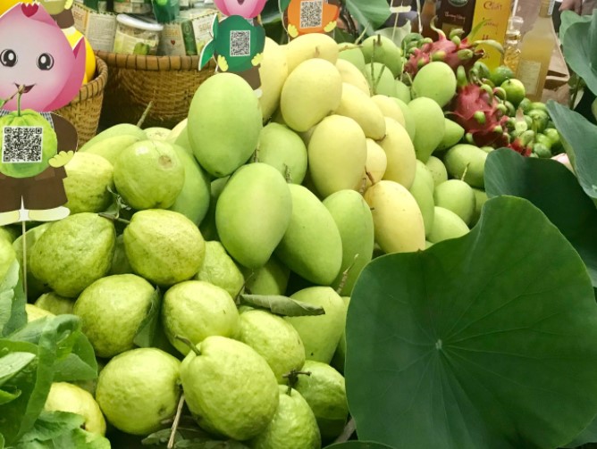 xoai viet nam