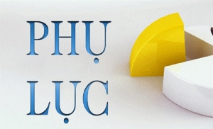 Phụ lục IV DANH MỤC C&Aacute;C TỔ CHỨC CẤP C/O
